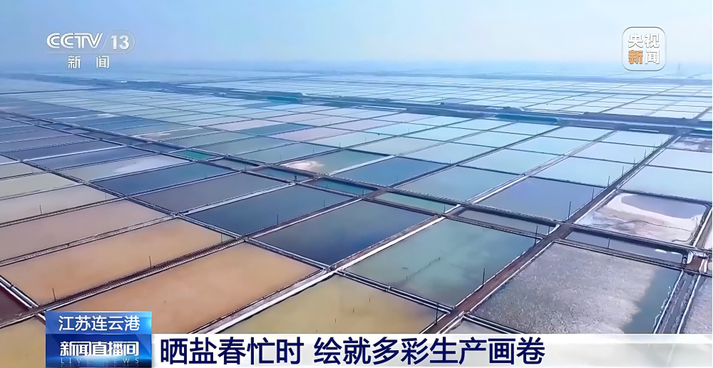 春季扒鹽忙2.(1)