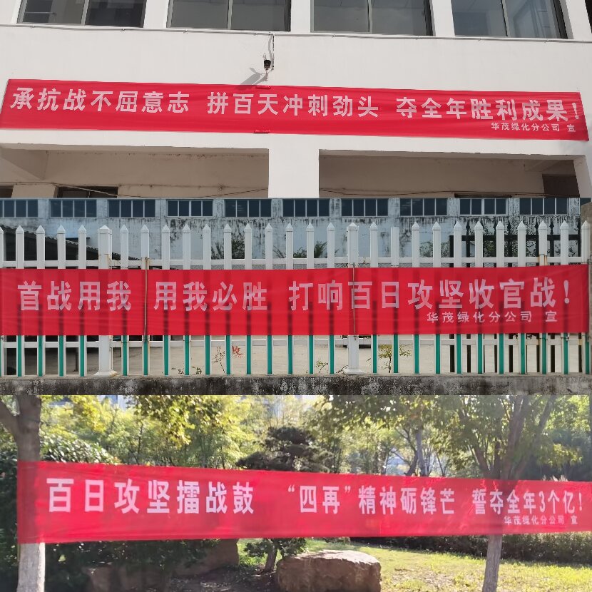 上網(wǎng)2